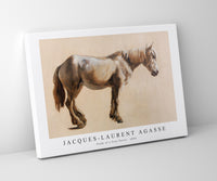 
              Jacques Laurent Agasse - Study of a Grey Horse (ca. 1800)
            