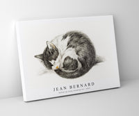 
              Jean Bernard - Rolled up lying sleeping cat (1825)
            