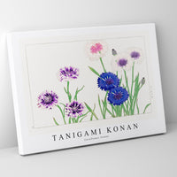 Tanigami Konan - Cornflower flower