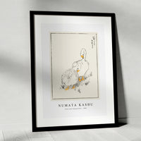 Numata Kashu - Duck and Young Grass illustration from Pictorial Monograph of Birds (1885)