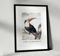 
              Aert schouman - Red-billed Toucan-1748
            