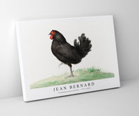 
              Jean Bernard - Standing black chicken (1775–1833)
            