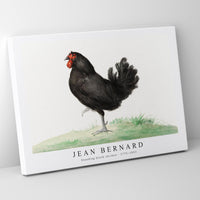 Jean Bernard - Standing black chicken (1775–1833)