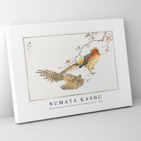 Numata Kashu - Golden Pheasant and Flower of Japanese Quince illustration from Pictorial Monograph of Birds (1885)