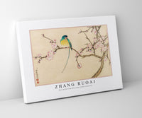 
              Zhang Ruoai - Bird with Plum Blossoms (18th Century)
            