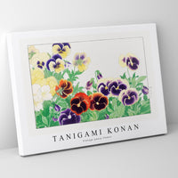 Tanigami Konan - Vintage pansy flower