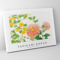 Tanigami Konan - Thunbergia & aster flower
