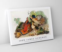 
              John James Audubon - Ruffed Grouse from Birds of America (1827)
            