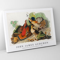 John James Audubon - Ruffed Grouse from Birds of America (1827)