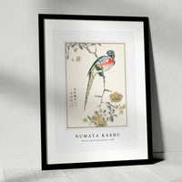 Numata Kashu - Macaw and Drooping Peach illustration from Pictorial Monograph of Birds (1885)
