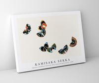 
              Kamisaka Sekka - Japanese woodblock butterfly (One Thousand Butterflies) - 1904
            