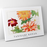 Tanigami Konan - Dahlia flower