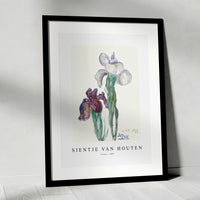 Sientje Van Houten - Irises 1897