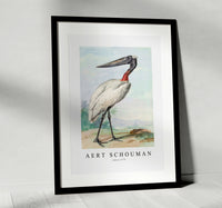 
              Aert chouman - Jabiru-1770
            