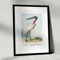 Aert chouman - Jabiru-1770