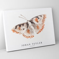 Johan Teyler - A butterfly