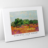 Vincent Van Gogh - Olive Trees 1889
