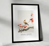 
              Ohara Koson - Japanese plague bird on maple (1900 - 1936)
            
