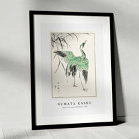 Numata Kashu - Demoiselle crane and Reed illustration from Pictorial Monograph of Birds (1885)