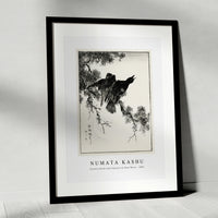 Numata Kashu - Eastern Rook and Cypress on New Moon illustration from Pictorial Monograph of Birds (1885)