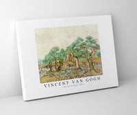 
              Vincent Van Gogh - The Olive Orchard 1889
            