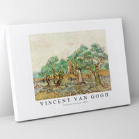 Vincent Van Gogh - The Olive Orchard 1889