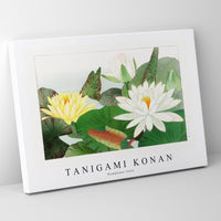 Tanigami Konan - Nymphaea lotus