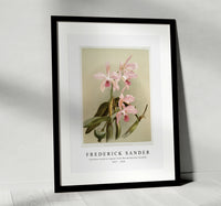 
              Frederick Sander - Cattleya victoria regina from Reichenbachia Orchids-1847-1920
            
