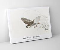 
              Ohara Koson - Flying quail (1900 - 1930) by Ohara Koson (1877-1945)
            