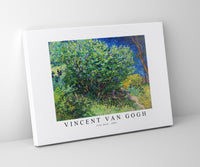 
              Vincent Van Gogh - Lilac Bush 1889
            