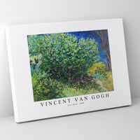 Vincent Van Gogh - Lilac Bush 1889