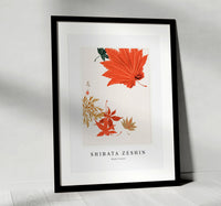 
              Shibata Zeshin - Maple Leaves
            