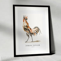 Johan Teyler - A Cock (2)