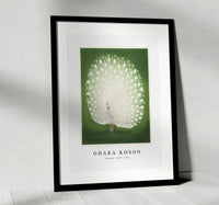 
              Ohara Koson - Peacock (1925 - 1936)
            