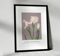 
              Ogawa Kazumasa - Beautiful photomechanical prints of White Irises (1887–1897)
            