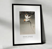 
              Ohara Koson - Bohemian waxwing birds (1900-1930) by Ohara Koson (1877-1945)
            