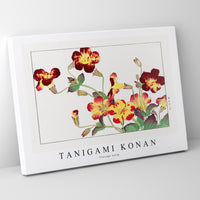 Tanigami Konan - Vintage tulip
