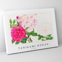 Tanigami Konan - Rose flower