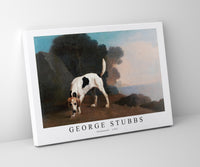 
              George Stubbs - Foxhound 1761
            