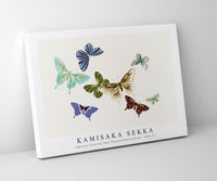 
              Kamisaka Sekka - Japanese butterfly (One Thousand Butterflies) - 1904 (7)
            