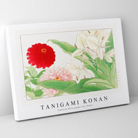 Tanigami Konan - Zinnia & white ginger lily flower