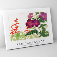 Tanigami Konan - Vintage salvia & melastoma flower