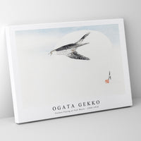 Ogata Gekko - Cuckoo Flying at Full Moon (1900–1910)