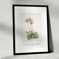 Frederick Sander - Cypripedium lo from Reichenbachia Orchids-1847-1920