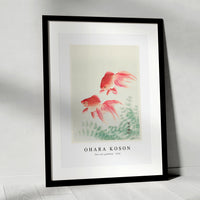 Ohara Koson - Two veil goldfish (1926) by Ohara Koson (1877-1945)