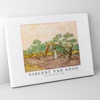 Vincent Van Gogh - Women Picking Olives 1889