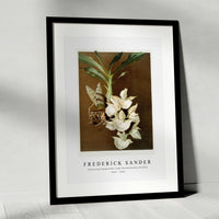 Frederick Sander - Catasetum bungerothii from Reichenbachia Orchids-1847-1920