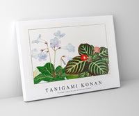 
              Tanigami Konan - Vintage tydea & cape primrose flower
            