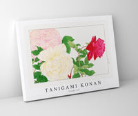 
              Tanigami Konan - Vintage rose
            