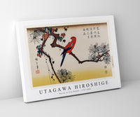 
              Utagawa Hiroshige - Macaw on Pine Branch 1797-1858
            